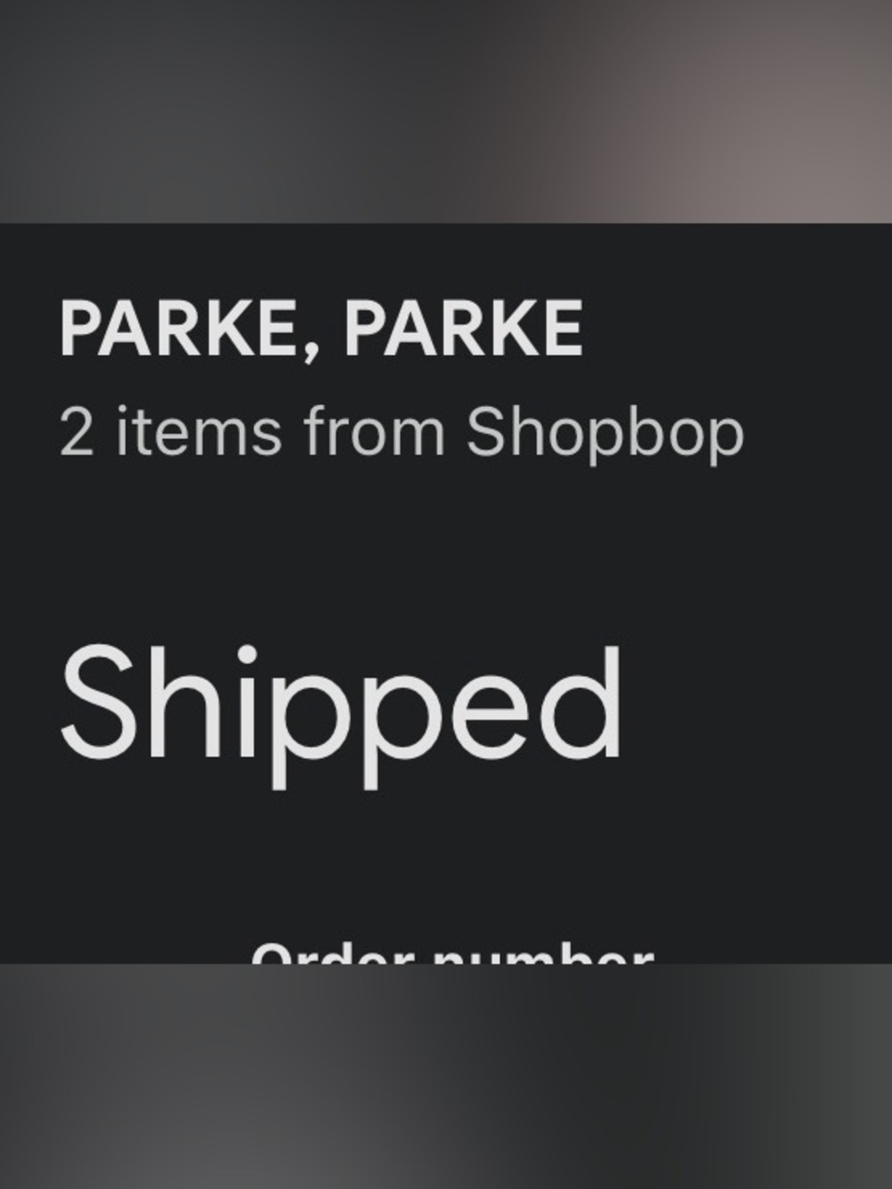 Parke Shop Bop Collab Clip - Picture 6 of 11